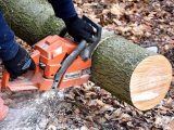 cutting-wood-2146507_640